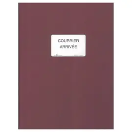 Maandplanner betalingen LE DAUPHIN - 12 tabs op maand - 96 pagina's 