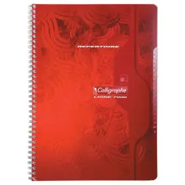 Register formaat 17x22 cm - Spiraalbinding - CALLIGRAPHE 