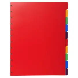 Tabbladen PP A4 voor showalb/ring 10tabs 