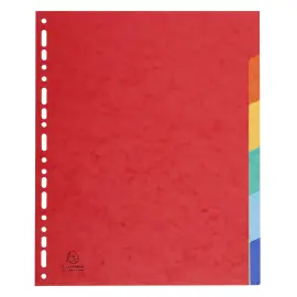 Tabbladen glanskarton 225g A4+  6 tabs 