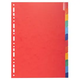 Tabbl. glanskarton 225g A4 verst.12 tabs 