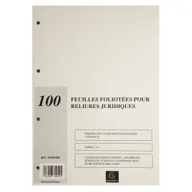 Vulling 100 vel A4 80g Juridisch 4R/6R 