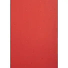 PK 100VL FOREVER ROOD A4 270G 