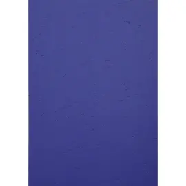 PK100 inbindkaft FOREVER 270g A4 do-bl. 