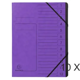 Sorteerder - 12 vakken - Violet - Exacompta 