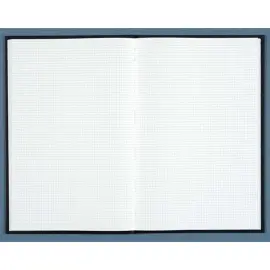 Geruit register 5 x 5 mm zonder paginanummering - 34 x 22,5 cm - 400 pagina's - Exacompta 