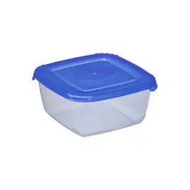Polar vriesdoos, 1,5 liter, blauw - Plast Team 