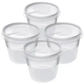 Set van 4 diepvriesdozen Helsinki, 0,3 L - Plast Team 