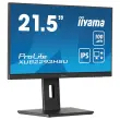 Prolite-monitor - 22" 