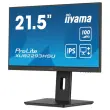 Prolite-monitor - 22" 