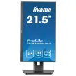 Prolite-monitor - 22" 
