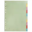 Tabbladen - A4 - 10 tabs - Karton 2/10e