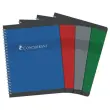 Spiraalgebonden schrift CONQUERANT 70g, 17x22 - Seyes - 180p