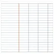 Spiraalgebonden schrift CONQUERANT 70g, 17x22 - Seyes - 180p
