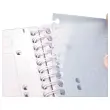 Spiraalschrift Evolutiv A4+ 240p - 5x5+ 3 tabbladen