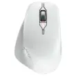 Ergonomische muis Stream Mouse Comfort - Draadloos - Wit 