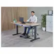 Draagbare laptopstandaard Alumina - Zwart - FELLOWES