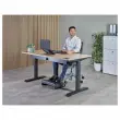 Draagbare laptopstandaard Alumina - Zwart - FELLOWES