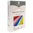 Pak van 500 vellen papier A4 80 g EXECUTIVE CLR - intense kleuren