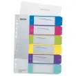 Genummerde plastic A4 tabbladen LEITZ Wow - 6 tabs 
