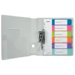 Genummerde plastic A4 tabbladen LEITZ Wow - 6 tabs 
