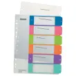 Genummerde plastic A4 tabbladen LEITZ Wow - 6 tabs 