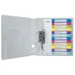 Set WOW digitale tabbladen - A4 Maxi - 12 tabbladen - LEITZ 