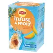 15 Cold Brew - Rooibos en Mango - LIPTON