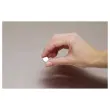 Krachtige neodymium magneet - Ø 30 mm