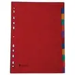 Tabbladen A4 in glanskarton - 12 tabs - FIDUCIAL 