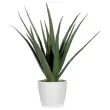 Kunstplant Aloe vera - H 45 cm