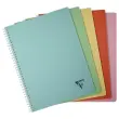 Spiraalschrift Linicolor - A4 - 100 pagina's - 5x5 - CLAIREFONTAINE