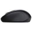 Draadloze Bluetooth Muis - Ambidexter - TRUST
