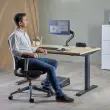 Elektrificatie-eenheid - Power Desk 2 - USB-A USB-C - Zwart - FELLOWES