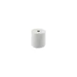 100 Thermische papierrollen 57X31X8mm /11 M