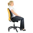 Rugleuning van netstof 3D - FELLOWES