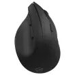 Ergonomische Draadloze Muis M30W - Drievoudige Connectie - MOBILITY LAB