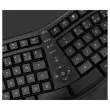 Draadloos Ergonomisch Toetsenbord + Muis Multiverbinding C30W - MOBILITY LAB 