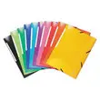 25 Mappen met 3 flappen en elastiek - gelamineerd karton - EXACOMPTA