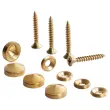 4 Gouden schroef en schroefkap atelier