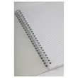 Spiraalschrift 100 pagina's sey&egrave;s van 70g/m&sup2; - FIDUCIAL 