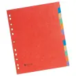 Set tussenbladen karton A4 maxi 12 tabbladen - FIDUCIAL 