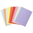 250  Pastelkleurige inlegmappen FIDUCIAL 22x31 cm - 60g 