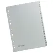 Numerieke tabbladen A4 - PP - FIDUCIAL- 20 tabs 