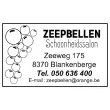 Personaliseerbare stempel 4929 - Blauw - 50x33 mm - max 6 lijnen - TRODAT 