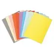 100 Inlegmappen 24 x 32cm Exacompta Forever gerecycleerd 170g