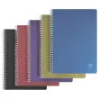 Spiraalschrift A4 Linicolor Intense - 100 pagina's - CLAIREFONTAINE