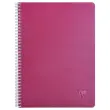 Spiraalschrift A4 Linicolor Intense - 100 pagina's - CLAIREFONTAINE