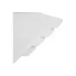 Spiraalschrift A4+ Ambassador - 5x5 - FIDUCIAL OFFICE SOLUTIONS 