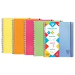 Spiraalschrift A4+ Proactiv'Book - 5x5 - CLAIREFONTAINE